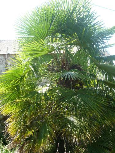 Le Miramont Bed & Breakfast Orincles Bagian luar foto